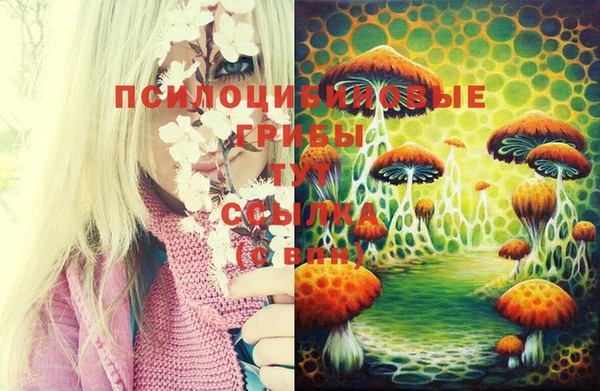 мдма Киренск