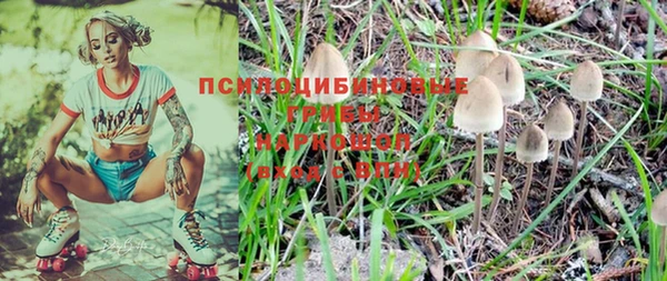 соль ск Киреевск